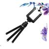 DirectNine Basics 3pcs Retractable Phone Tripod Compact Camera Stand Small Bracket for Smartphone Tripod Portable Stand view 2