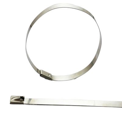 stainless steel cable ties,steel locking ties,25pcs 4.6mm Stainless Steel Cable Ties Locking, Metal Zip-Exhaust Wrap Coated Multi-Purpose (Size : 25pcs 4.6X700) (Size : 25pcs 4.6X260) ( Color : 25pcs