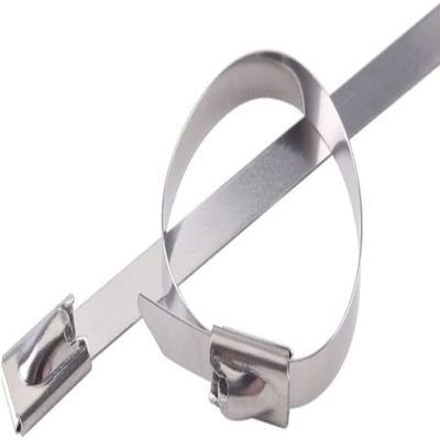 stainless steel cable ties,steel locking ties,4.6 100pcs 304 Stainless Steel Cable Steel Cable Tie, Heavy Duty Self-Locking Cable Zip Tie Cable Twist Ties (Size : 4.6x100x100PCS) (Size : 4.6x400x1 ( C