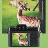 Pomya Digital Camera 4K 48MP for Photography Video Webcam Vlogging with 16x Digital Zoom, 3.0 Inch Screen, CMOS Mobile Anti Shake, 1500mAh Battery, Support Micro Memory Card view 3