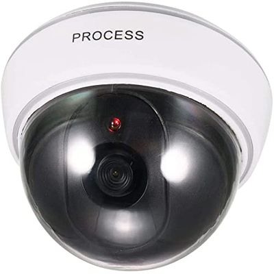 XYWHPGV Fake Security Camera Dummy Dome CCTV with Blinking Red LED Warning Alert Light for Home Outdoor Indoor White(d97c9 b44c2 1d961 08e03 3d26c b4e70