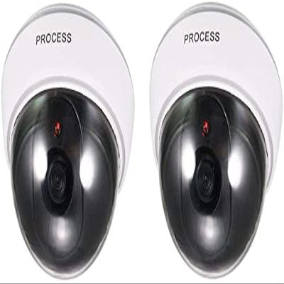 XYWHPGV Fake Security Camera Dummy Dome CCTV with Blinking Red LED Warning Alert Light for Home Outdoor Indoor White 2pcs(994f4 0ee0a 020e4 2fbe9 0bde6 7e693