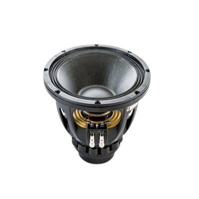 18 Sound 10NW750-8 Neo Mid Bass 10-inch State of The Art Low Frequency Woofer with Neodymium Magnet Structure