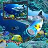 7" TFT 1000tvl Underwater Fishing Video Camera Kit,WiFi Wireless APP Supports Video Record and Take Photo,20m (30m) view 2
