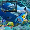 7'' Color Digital LCD 1000TVL Fish Finder HD DVR Recorder Waterproof Fishing Video Underwater Fishing Camera,30m (20n) view 4