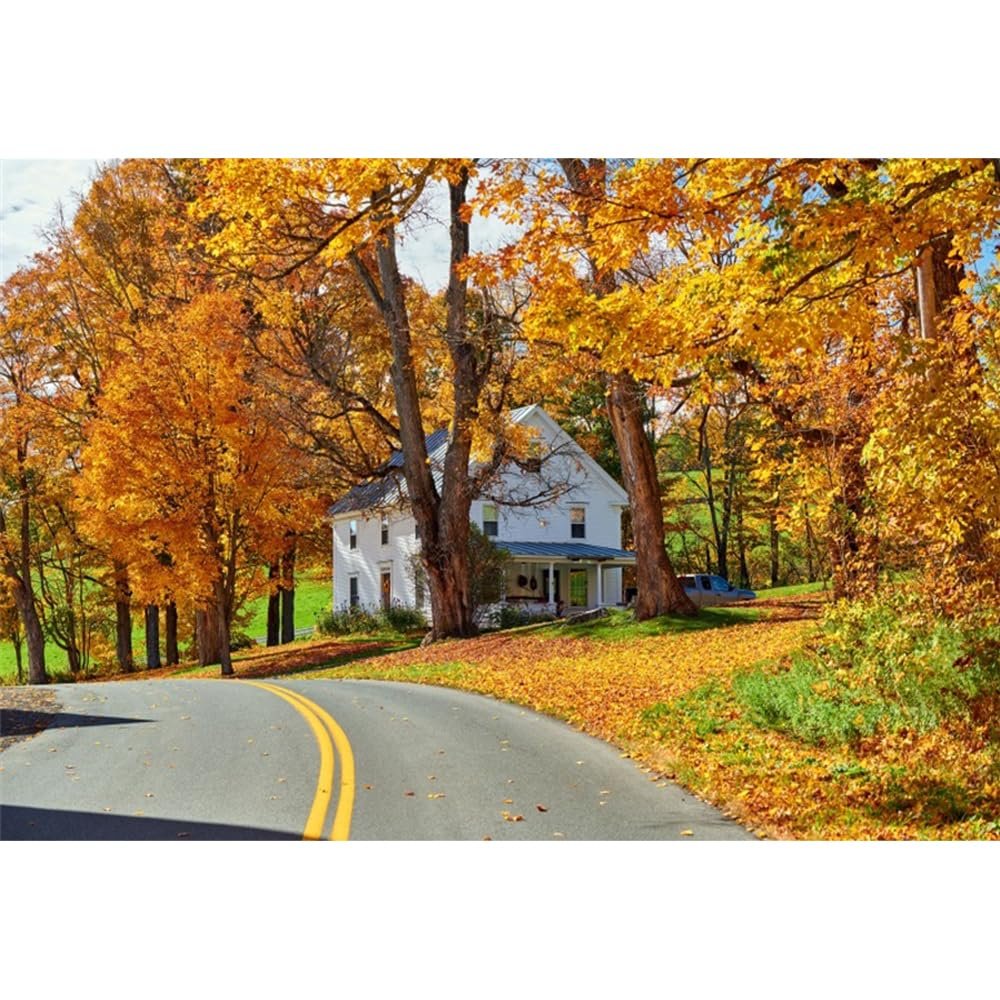DORCEV 10x6.5ft Fall Natural Scenery Photography Backdrop Autumn Rustic Village Forest Country Road Photo Background Banner Autumn Rural Scenery Outdoor Camping Portrait Decor Photo Booth Studio Props