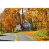 DORCEV 10x6.5ft Fall Natural Scenery Photography Backdrop Autumn Rustic Village Forest Country Road Photo Background Banner Autumn Rural Scenery Outdoor Camping Portrait Decor Photo Booth Studio Props view 1