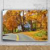 DORCEV 10x6.5ft Fall Natural Scenery Photography Backdrop Autumn Rustic Village Forest Country Road Photo Background Banner Autumn Rural Scenery Outdoor Camping Portrait Decor Photo Booth Studio Props view 2