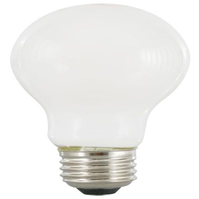 SYLVANIA Bulb LED A21 FRST Daylight 13W 40753
