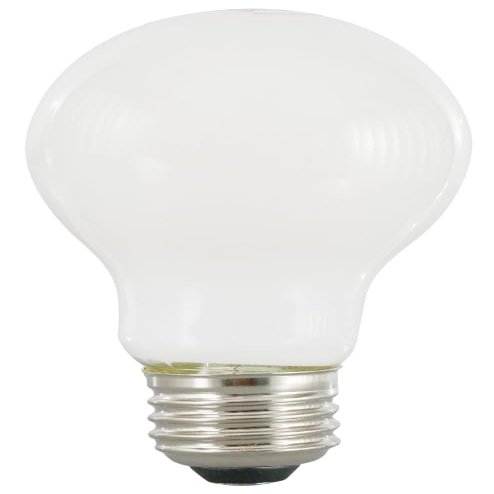 SYLVANIA Bulb LED A21 FRST Daylight 13W 40753