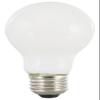 SYLVANIA Bulb LED A21 FRST Daylight 13W 40753 view 1