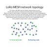 868MHz 915MHz Lora Mesh Module E52-900NW22S 22dbm Long Distance 2.5Km Automatic Routing Antenna Stamp Holes/Ipex view 4