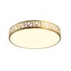 SteFik Ceiling Lamp European Golden Hollow Frame Ceiling Lamp Can Be Adjusted 3000K, 4500K, 6000K Ceiling Lamp Suitable for Interior Lighting of Bedroom and Dining Room (Size : 15.8in),Pendant view 1
