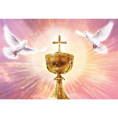 Laeacco 12x10ft Peace Dove Backdrop Holy Light Spirit Bird Jesus Christ Heaven White Dove Gold Chalice Photography Background Church Event Party Decor Christian Activities Banner Photo Booth Props