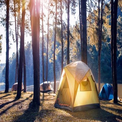 DORCEV 10x8ft Camping Theme Backdrop Forest Campground Canvas Tents Photography Background Hiking Travel Adventure Trip Backgrounds for Kids Birthday Party Decor Adults Portrait Photo Booth Props