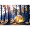 DORCEV 10x8ft Camping Theme Backdrop Forest Campground Canvas Tents Photography Background Hiking Travel Adventure Trip Backgrounds for Kids Birthday Party Decor Adults Portrait Photo Booth Props view 4
