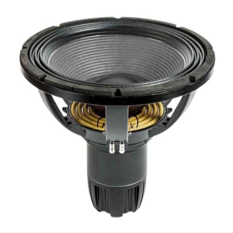 Eighteen Sound 18NTLW5000.4 LF Driver 18-inch Next Generation Subwoofer 1800 Watts RMS 4000 Peak Designed for High Spl Very Low Frequency Applications 4-Ohms
