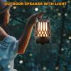 Tioneger Flame Outdoor Bluetooth Speaker, LED Table Lamp with Flame Light, Portable Wireless Waterproof LED Flickers Speaker with Handle, Gifts for Men (H1) view 4