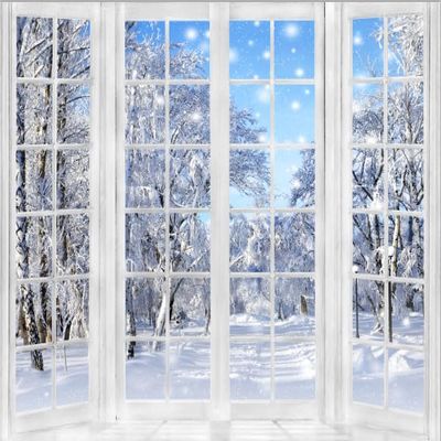20x10ft Winter Backdrop Christmas Backdrops for Photography Window Snowy Wonderland New Year Background Family Gathering Party Banner Decorations Portrait Photo Booth Props