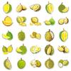 Ratgoo 50 Pcs Cartoon Durian Stickers Pack Quirky Yellow Fruit Waterproof Vinyl Decal Stickers for Water Bottles Laptop Luggage Cup Skateboard Guitar Journal Scrapbook view 2