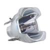 CObyda Replacement Projector Lamp NP39LP for N-EC P502H/ NP-P502H/ NP-P502W/ NPP502H/ NPP502W/ P502W view 1