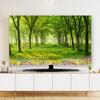 TV Cover TV Dust Cover Cloth Indoor Printing Art Decoration Cover 32-80 Inches Indoor Screen Dustproof Protect Soft LCD,LED Universal Hanging Desktop Curved Monitor Protector Cover for Living Room view 1