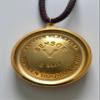 Sensor V Medallion by Patrick Flanagan view 4