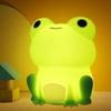 OkiyiD Frog Night Light for Nursery, Rechargeable Dimmable Bedside Lamp with Touch Control(ABS+SIL), Portable Kids Gift for Girls, Boys, Babies view 1