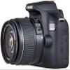 Canon EOS 2000D (Rebel T7) DSLR Camera wCanon EF-S 18-55mm F3.5-5.6 III Lens and Sunshine Photo Professional Accessories Bundle (Renewed) view 4