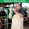 Lauwell 50 Pcs Disposable Dressing Gutting Gloves 35 Inch Shoulder Length Field Dressing Gloves Veterinary Insemination Glove (Green) view 3