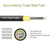 Single Mode Fiber SC to FC 100M/328FT,TPU Outdoor Fiber Optic Cable Simplex OS2 9/125um Armored Fiber Patch Cable OD-6mm,UPC 12 Core Fiber Optic Internet Cable view 2