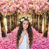 10x8ft Spring Cherry Blossom Forest Backdrop Pink Flower Butterfly Petal Boulevard Floral Photo Background for Photography Wedding Tea Party Party Decorations Portrait Shoot Studio Photo Booth Props view 4