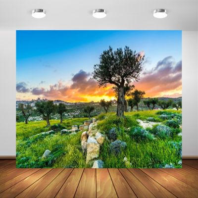 BELECO 12x8ft Fabric Sunset View of Bethlehem Backdrop Olive Trees Grove Shepherds Field, Israel Background Jerusalem Backdrop for Party Decorations Photo Props Wallpaper