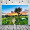 BELECO 12x8ft Fabric Sunset View of Bethlehem Backdrop Olive Trees Grove Shepherds Field, Israel Background Jerusalem Backdrop for Party Decorations Photo Props Wallpaper view 2