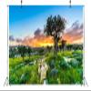BELECO 12x8ft Fabric Sunset View of Bethlehem Backdrop Olive Trees Grove Shepherds Field, Israel Background Jerusalem Backdrop for Party Decorations Photo Props Wallpaper view 4