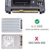 NFHK U.2 SFF-8639 Host Adapter to NVMe Ruler 1U GEN-Z EDSFF 2C 8X Short SSD PM983 E1.L Carrier Adapter view 3