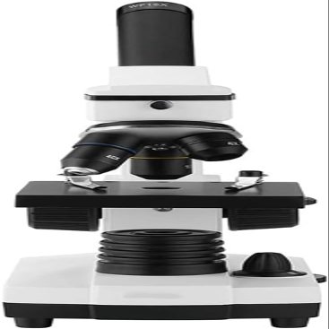 CHIPEL Professional Biological Microscope Microscope 64X-640X Up/Down LED Monocular Microscope for Students Kids Education with Slides