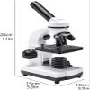 CHIPEL Microscope for Laboratory Microscope Dual LED Illumination Compound Monocular Microscopes for Kids Students School Laboratory view 2