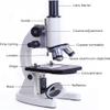 CHIPEL Microscope for Laboratory Compound Monocular Microscopes Coarse and Fine Focus Microscope with Metal Body for Kids Students School Laboratory view 3