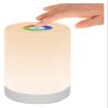AMeLL LED Night Light, Smart Bedside Table Lamp, Touch Control, Dimmable, USB Rechargable, Portable, Color Changing RGB for Kids, Bedroom, Camping (Warm White) view 1