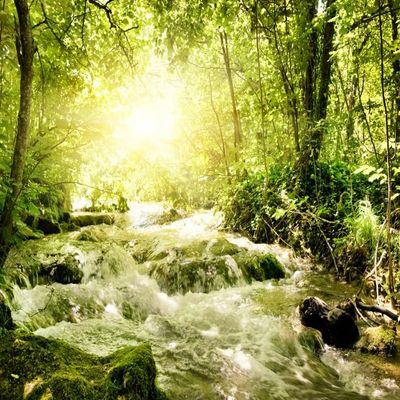 DORCEV 15x10ft Tropical Rainforest Backdrop Jungle Waterfall Sunshine Adventure Hiking Photography Background Realistic Forest Backgrounds for Kids Birthday Party Decor Portrait Photo Studio Props