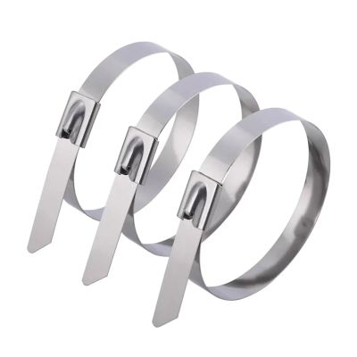 20/60Pcs Stainless Steel Cable Ties Reusable Self-Sealing Fastening Cable Tie Multi-Purpose Metal Hardware Cable Organizer (Color : 4.6x300mm, Size : 20PCS)