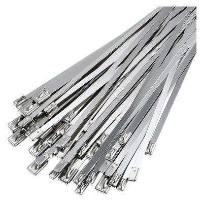 100Pcs Stainless Steel Cable Ties Reusable Self-Sealing Fastening Lock up Cable Tie Multi-Purpose Cable Organizer (Color : Silver, Size : 4.6mmx250mm)