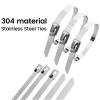 20/40Pcs Stainless Steel Cable Ties Reusable Self-Sealing Fastening Tie Multi-Purpose Metal Hardware Cable Organizer (Color : 20pcs4.6x100mm) view 3