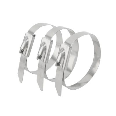 20/40Pcs Stainless Steel Cable Ties Reusable Self-Sealing Fastening Multi-Purpose Metal Hardware Cable Organizer (Color : 40Pcs, Size : 4.6X300MM)