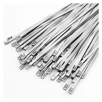 60/20Pcs 0.81x5.91 7.87 11.81 Inch Stainless Steel Cable Ties Reusable Self-Sealing Fastening Rings Metal Zip Cables Tie (Color : 4.6x200mm, Size : 60PCS)