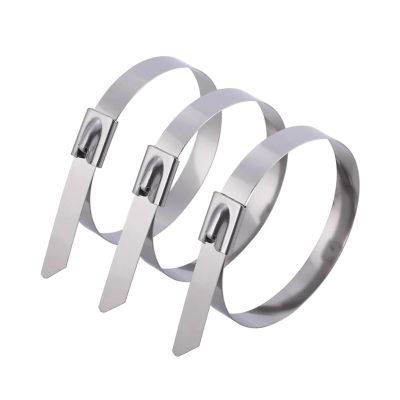 10/200Pcs Stainless Steel Cable Ties Reusable Self-Sealing Fastening Lock up Cable Tie Multi-Purpose Cable Organizer (Color : 100Pcs, Size : 4.6x300MM)