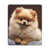 BTCOWZRV Cute Pomeranian Dog Print Mouse Pad Non-Slip Rubber Mouse Mat 10 X 12 in Personalized Gaming Mousepad Desk Accessories for Laptop Home Office Men Women Gifts view 1