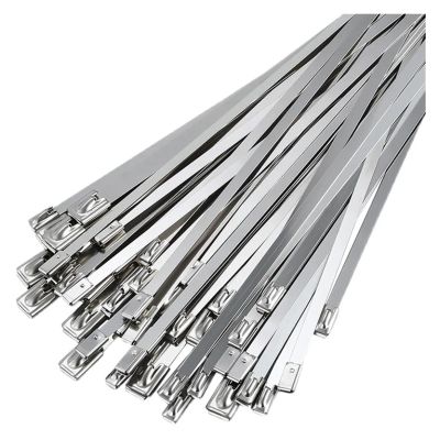 20/40Pcs Stainless Steel Cable Ties Reusable Self-Sealing Fastening Multi-Purpose Metal Hardware Cable Organizer (Color : 20Pcs, Size : 4.6X150mm)