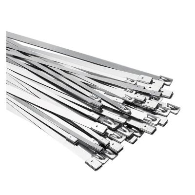 20/40Pcs Stainless Steel Cable Ties Reusable Self-Sealing Fastening Lock up Cable Tie Multi-Purpose Metal Hardware Cable Organizer (Color : 40Pcs, Size : 4.6X250MM)